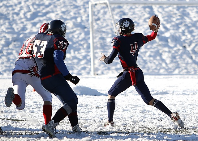 在体育的世 在体育的世