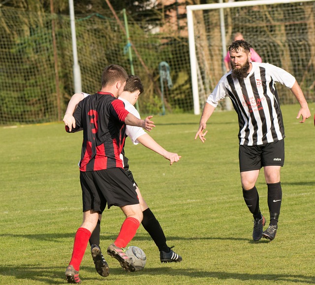 生中还有近 生中还有近