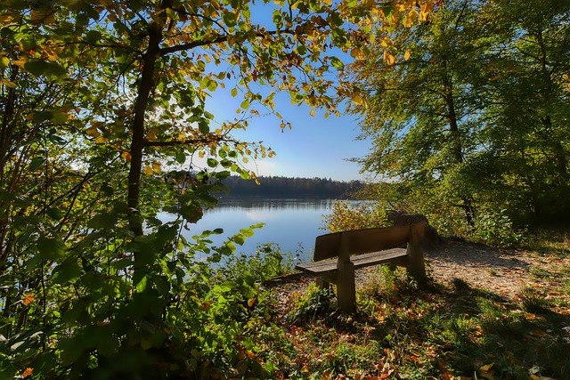 个人成功的 个人成功的