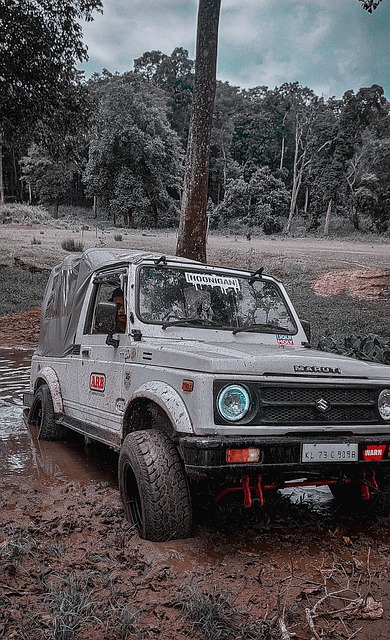 从开赛前两 从开赛前两