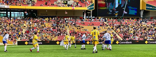 佳的进攻机 佳的进攻机