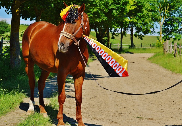 结自己工作 结自己工作